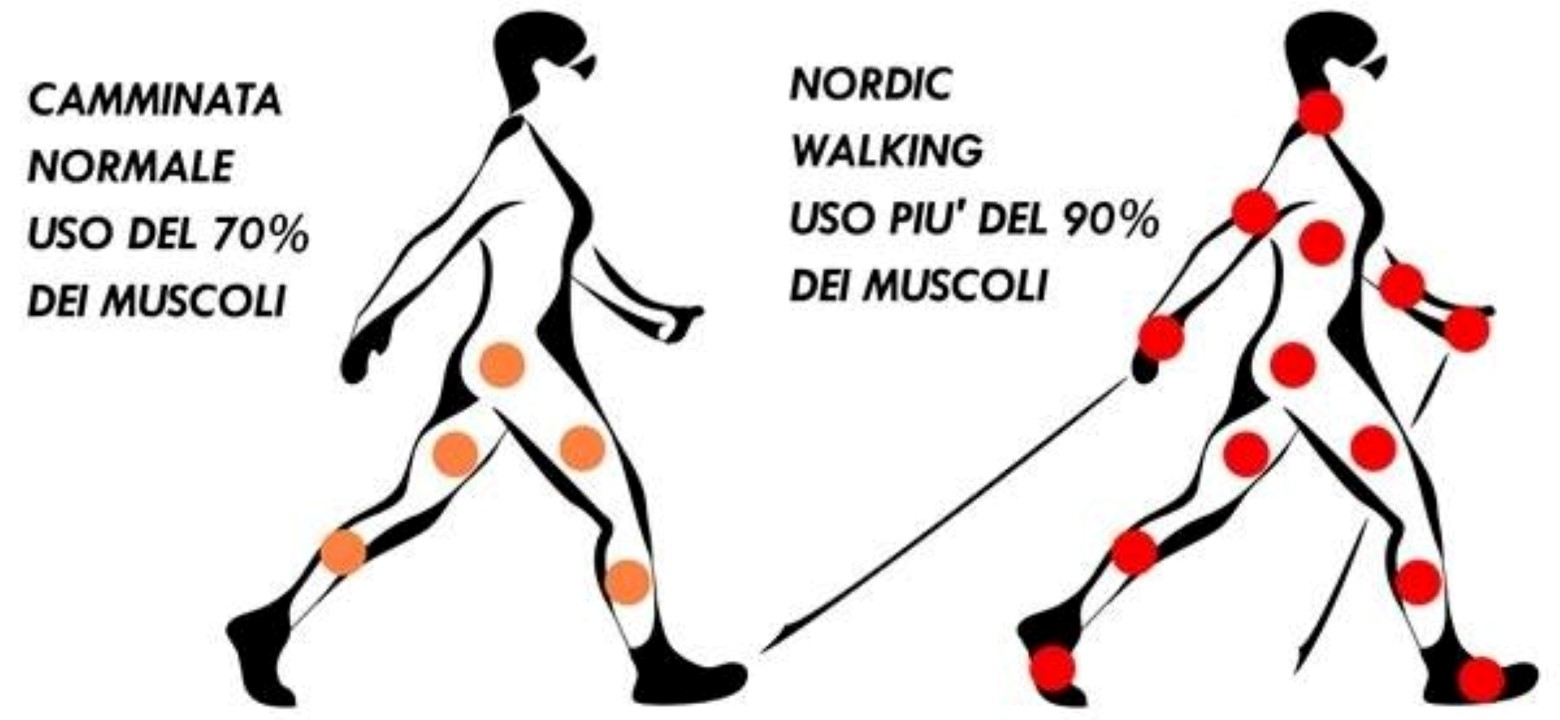 Confronto nordic walking con camminata normale